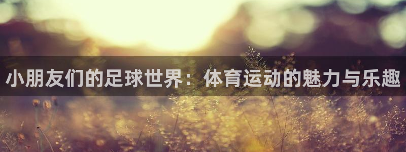 oety欧亿体育官网下载：小朋友们的足球世界：体育运
