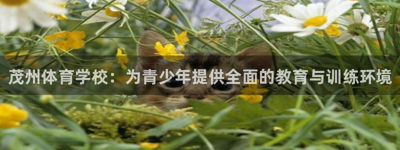 oety欧亿体育官网下载招商电话号码查询：茂州体育学