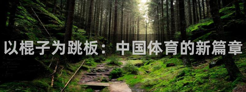 oety欧亿体育官网下载是干嘛的公司：以棍子为跳板：