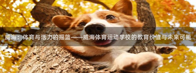 oety欧亿体育官网下载平台：威海：体育与活力的摇篮