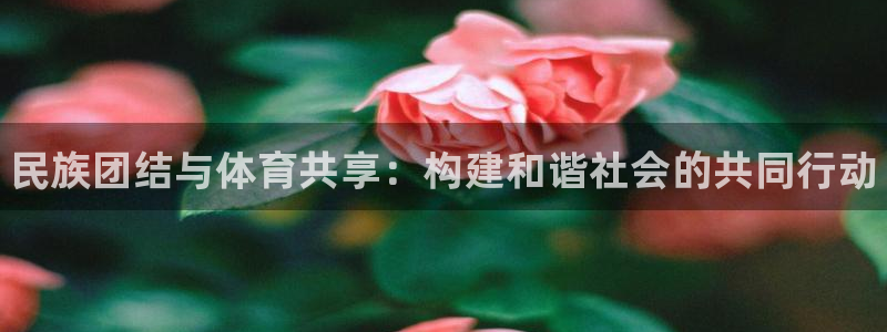 oety欧亿体育官网下载平台假的吗是真的吗吗：民族团