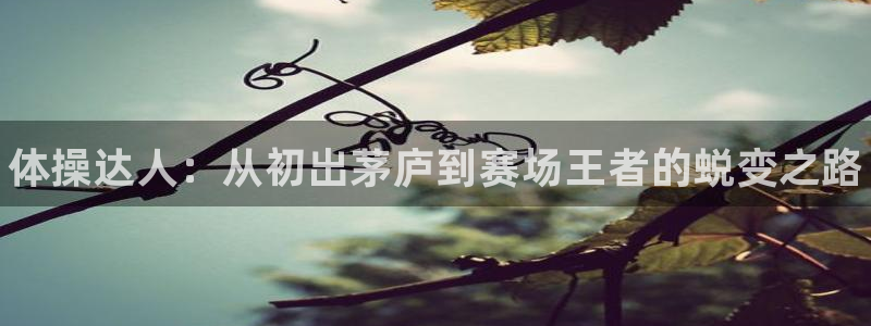 欧亿体育官方正版app集团