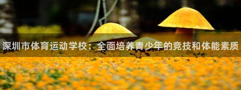 oety欧亿体育官网下载招商电话号码是多少号