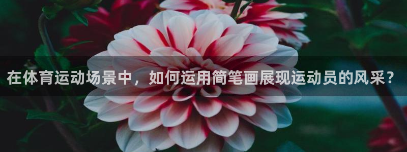 oety欧亿体育官网下载：在体育运动场景中，如何运用