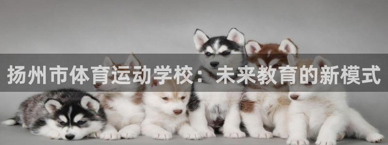 欧亿体育官方正版app娱乐是那个系列的台子：扬州市体育运动学