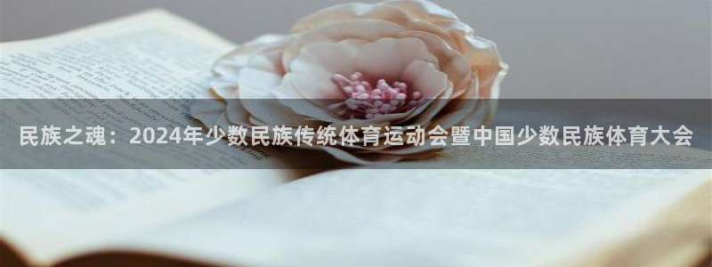 oety欧亿体育官网下载平台注册要钱吗：民族之魂：2024年