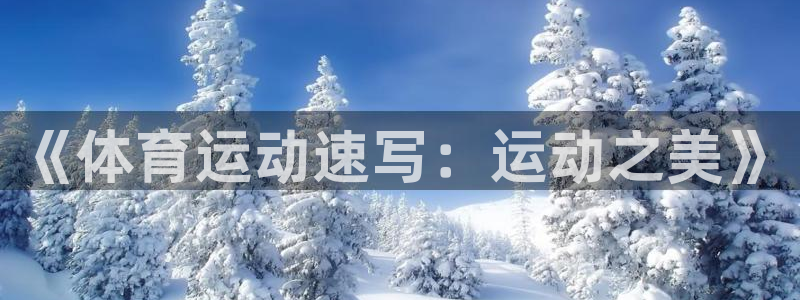 oety欧亿体育官网下载：《体育运动速写：运动之美》