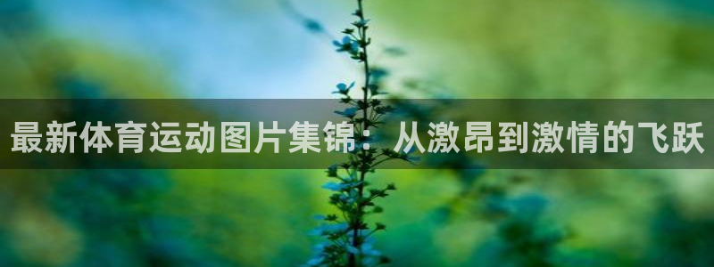 oety欧亿体育官网下载平台注册：最新体育运动图片集锦：从激
