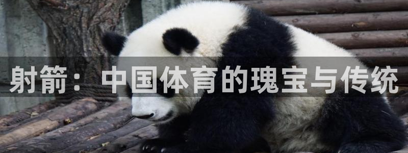 欧亿体育官方正版app官方