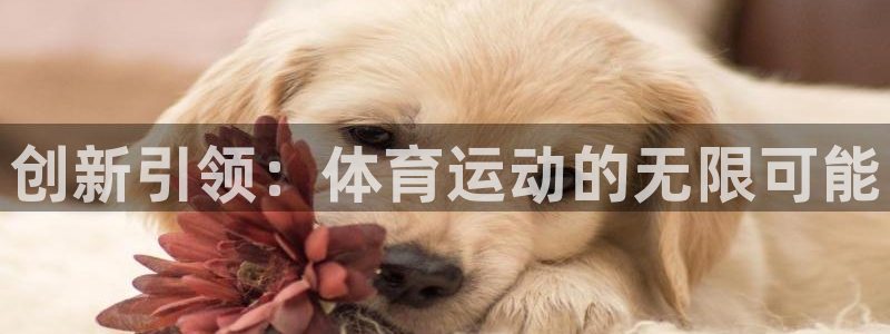 德国欧亿体育官方正版app集团：创新引领：体育运动的无限可能