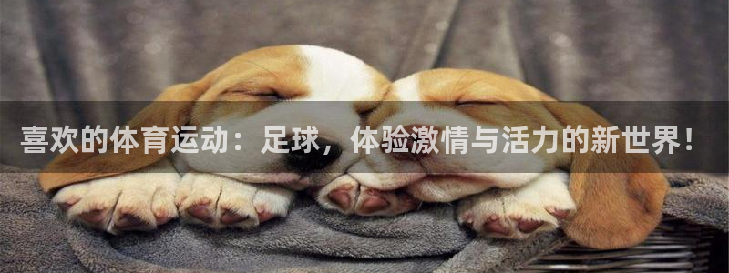 海南oety欧亿体育官网下载发展怎么样：喜欢的体育运动：足球