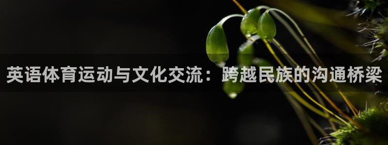 海南oety欧亿体育官网下载发展怎么样：英语体育运动