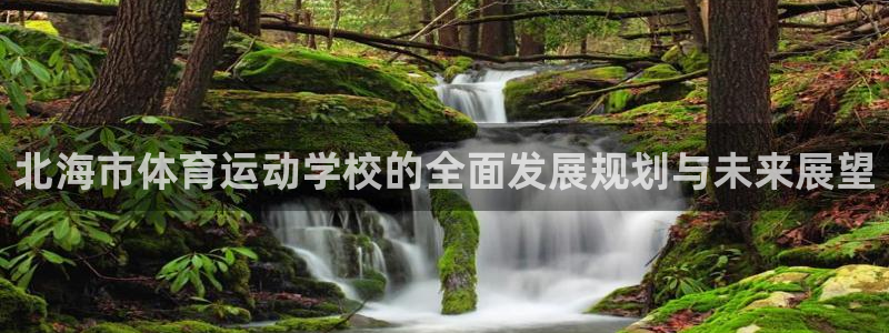 oety欧亿体育官网下载招商电话地址