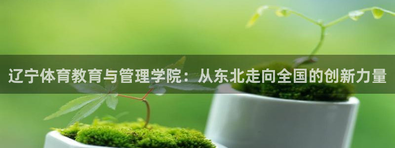 oety欧亿体育官网下载平台注册流程视频